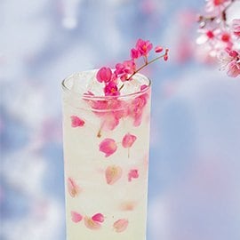 ซากุระมะนาว ซากุระมะนาว