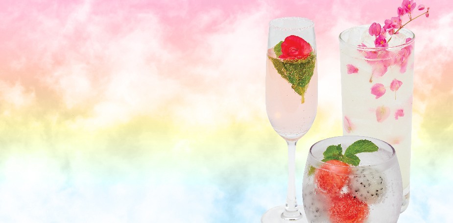 Beverage Partner