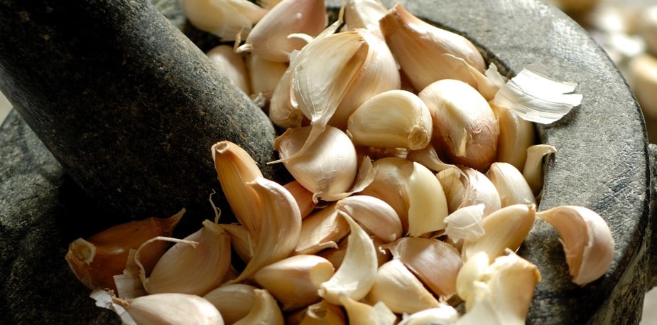 Garlic – the ultimate ingredient in all the kitchens