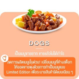 ช่องล่างขวา DOGS ช่องล่างขวา DOGS
