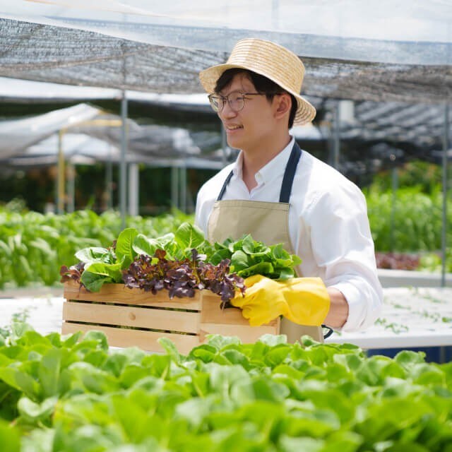 5 สถิติที่ชี้ให้เห็นว่าร้านอาหารเพื่อความยั่งยืนกำลังมาแรง