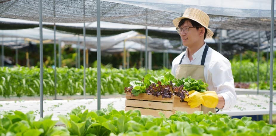 5 สถิติที่ชี้ให้เห็นว่าร้านอาหารเพื่อความยั่งยืนกำลังมาแรง