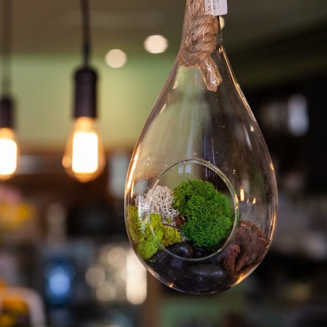 10 วิธีที่ช่วยร้านอาหารปรับตัวสู่ความยั่งยืน