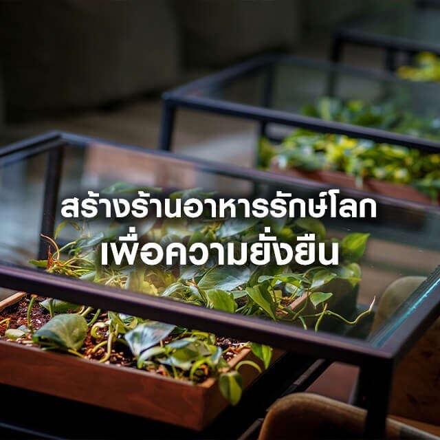 สร้างร้านอาหารรักษ์โลก
