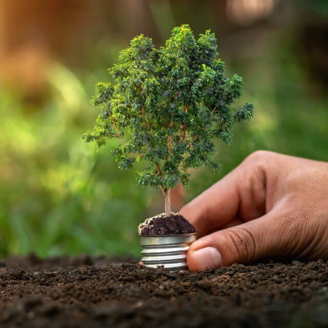 8 วิธีประหยัดพลังงานในร้านอาหารเพื่อความยั่งยืน