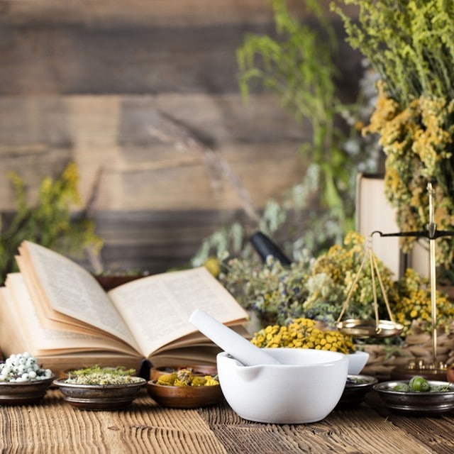 วิธีใช้ 6 สมุนไพรตะวันตก: โรสแมรี่ ไทม์ ทาร์รากอน เบซิล ออริกาโน่ ดิลล์