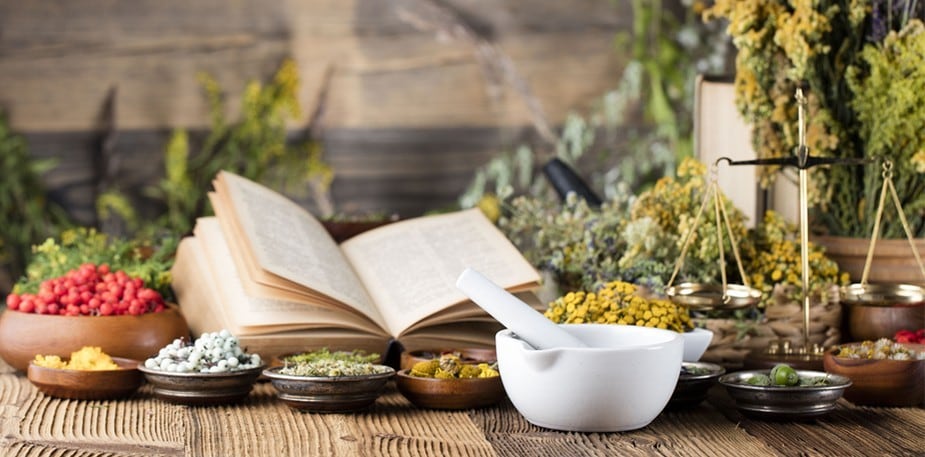 วิธีใช้ 6 สมุนไพรตะวันตก: โรสแมรี่ ไทม์ ทาร์รากอน เบซิล ออริกาโน่ ดิลล์