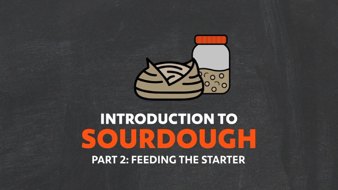 Sourdough_2. Introduction to Sourdough Part 2 - Feeding The Starter_UFSAcademy