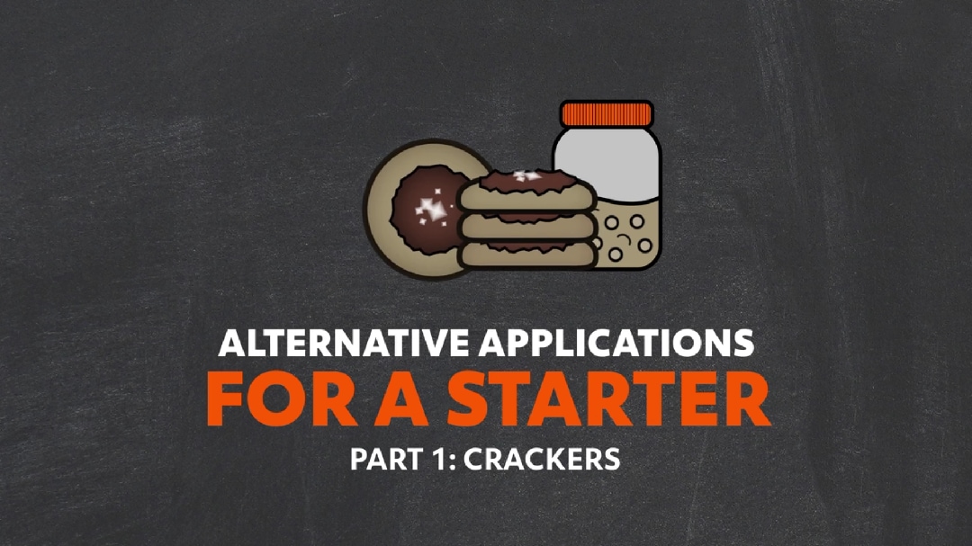 Sourdough_6. Sourdough: Alternative Applications For A Starter Part 1 - Crackers_UFSAcademy